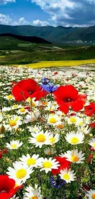 A vibrant field of poppies and daisies under a clear blue sky.