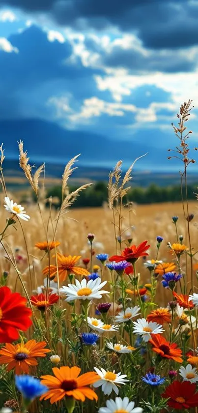 Field of colorful wildflowers under a dramatic blue sky.