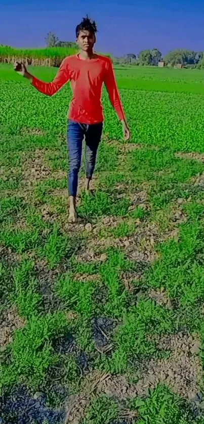 Man walking through lush, green fields under a vibrant blue sky.