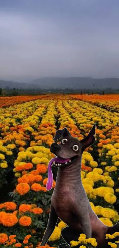 Playful dog amidst vibrant yellow marigold flowers in a vast field under a cloudy sky.