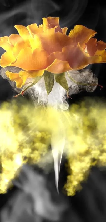 Fiery yellow-orange flower with smoke on black background.