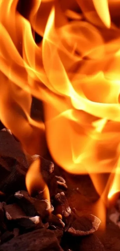 Vibrant orange flames over dark coals wallpaper.