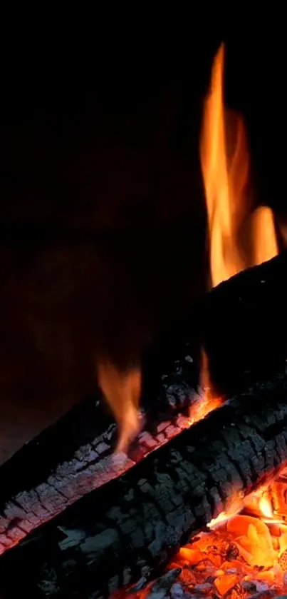 Burning logs with vibrant flames in a dark background.