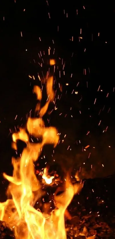 Vivid flames and sparks on a dark background.