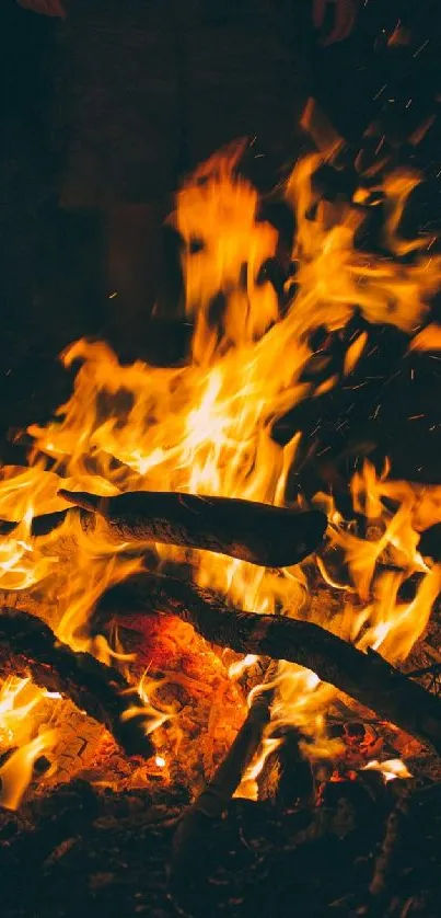 Vibrant campfire with glowing flames against a dark background.