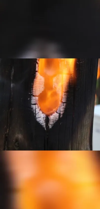 Fiery flames burning through blackened wood in high contrast wallpaper.