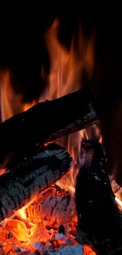 Vibrant orange fire flames with glowing embers on a dark background.