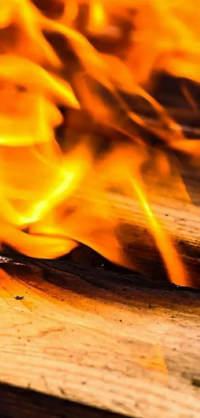 Close-up of vibrant orange flames on wood.