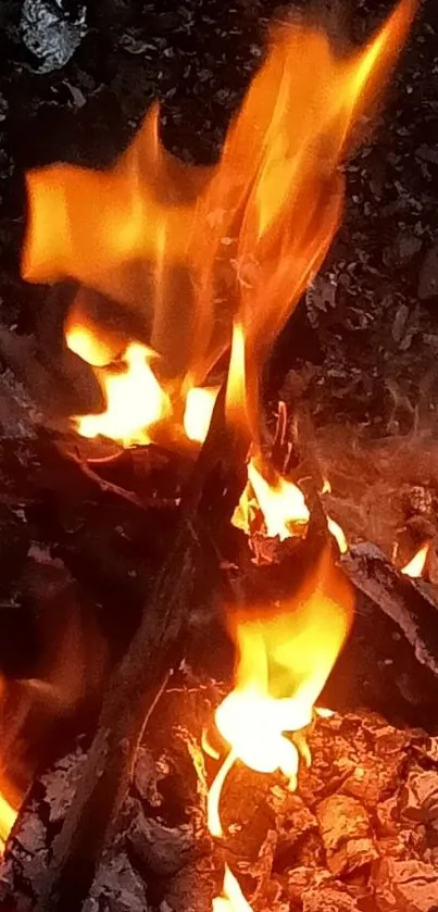 Vibrant orange flames of a campfire.