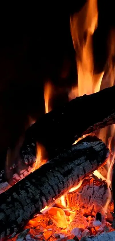 Vibrant firewood with glowing orange flames and embers in a dark setting.