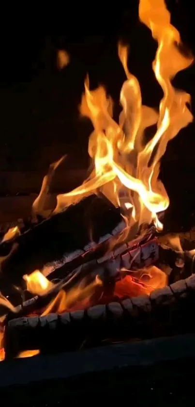 Vibrant flames consuming firewood in darkness.