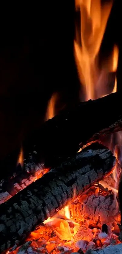 Vibrant flames burning in a wood fire with a dark background.