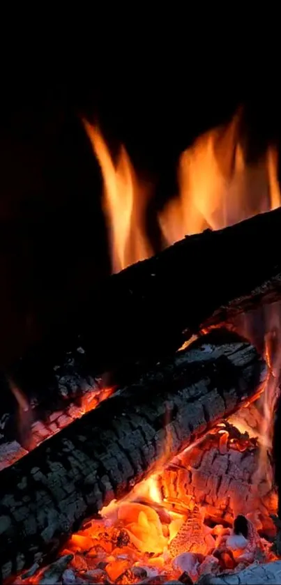 Close-up of firewood burning with vibrant flames.