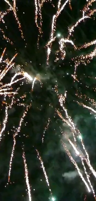 Colorful fireworks burst against a dark night sky.