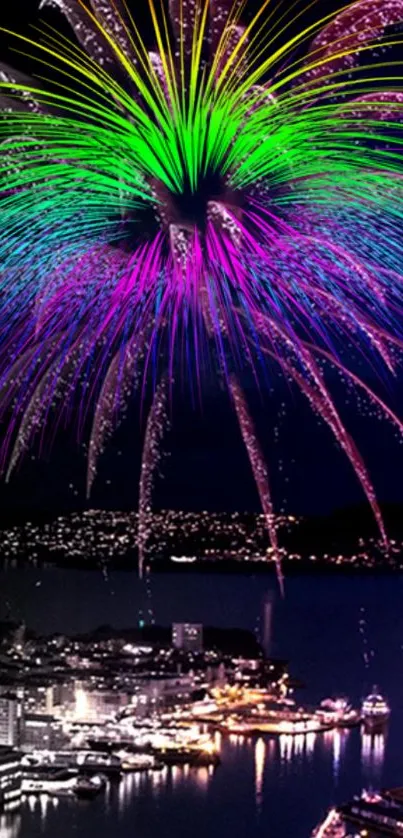 Colorful fireworks display over city skyline at night.