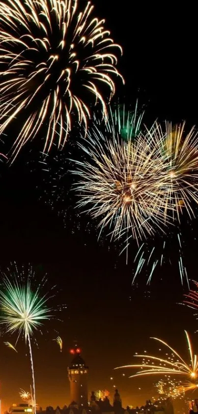 Stunning display of fireworks lighting up the night sky.