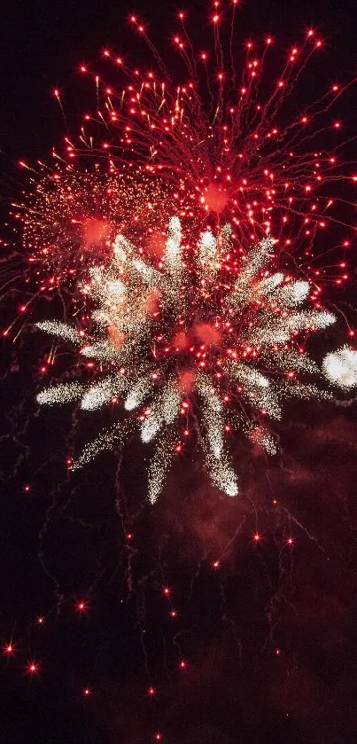 Vibrant red fireworks exploding in the night sky.