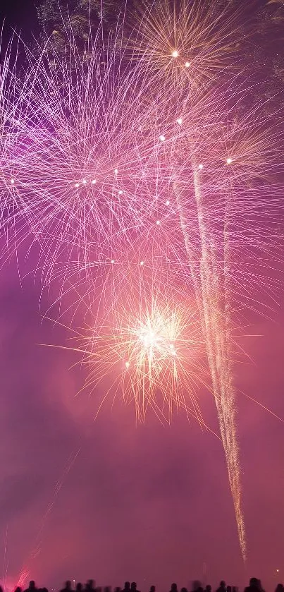 Bright pink and purple fireworks in night sky.