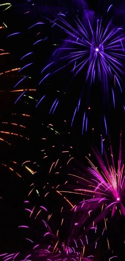 Vivid fireworks explosion against night sky, showcasing vibrant colors.