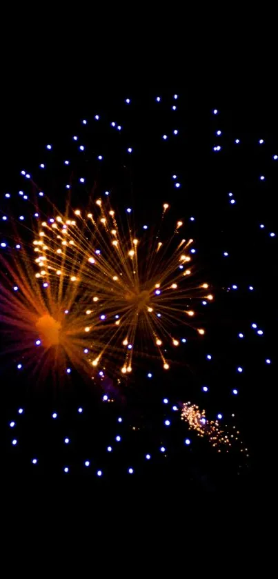 Colorful fireworks bursting against a dark sky.