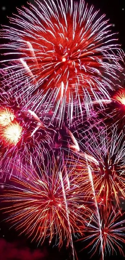Explosive red and purple fireworks on a dark background.