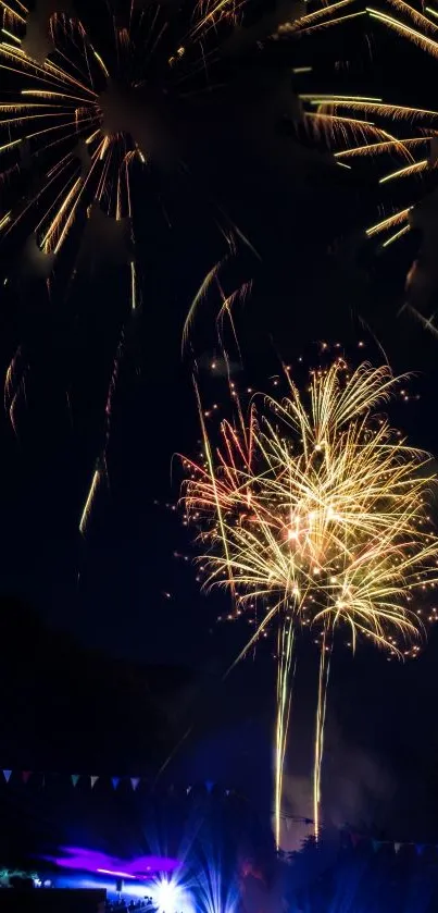 Colorful fireworks burst against a night sky.