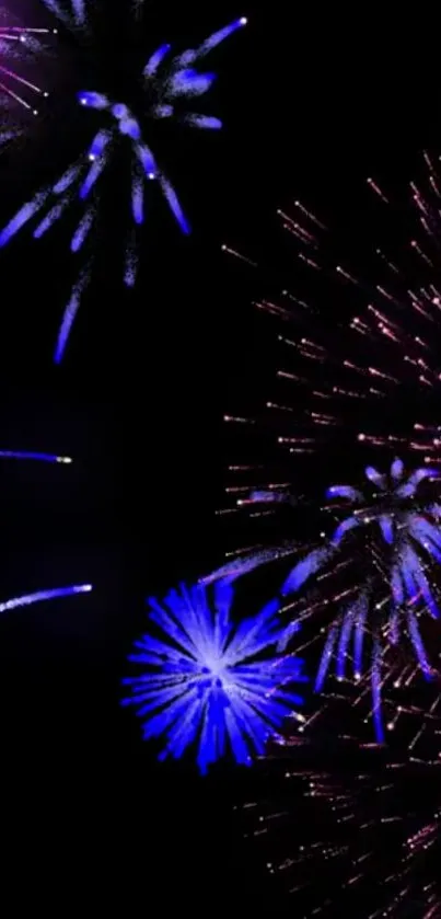 Vibrant fireworks against a black sky, creating a colorful display.