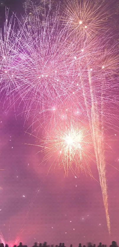 Vibrant fireworks on a purple night sky with silhouetted crowd.