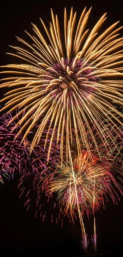 Colorful fireworks burst against night sky in vibrant display.