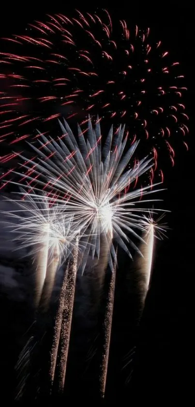 Colorful fireworks light up the night sky.