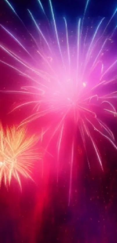 Vibrant fireworks display with colorful night sky.