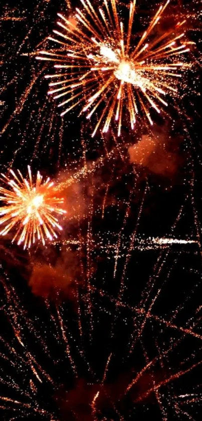 Colorful fireworks explode against a dark sky.