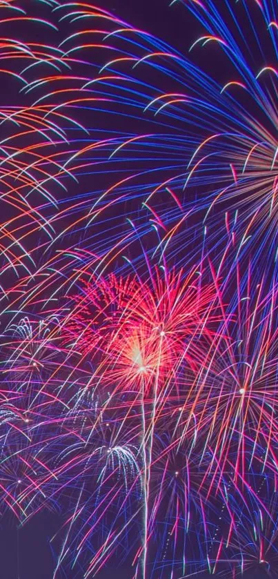 Colorful fireworks exploding against a night sky.