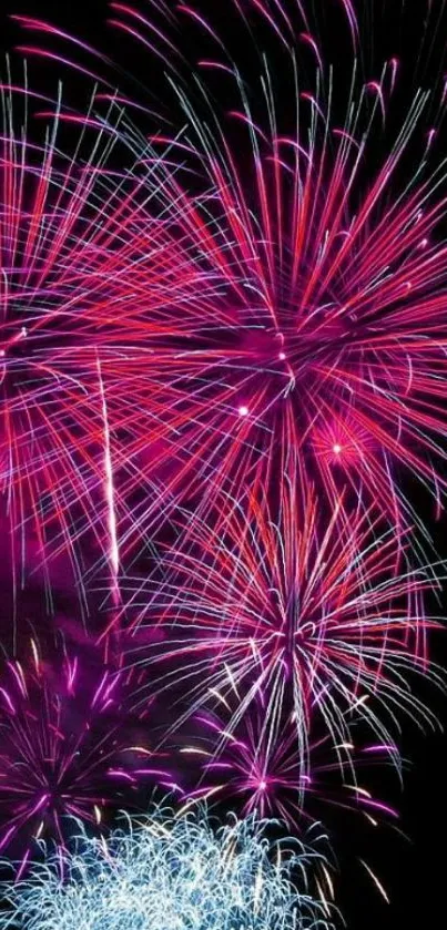 Vibrant pink fireworks burst against the night sky.