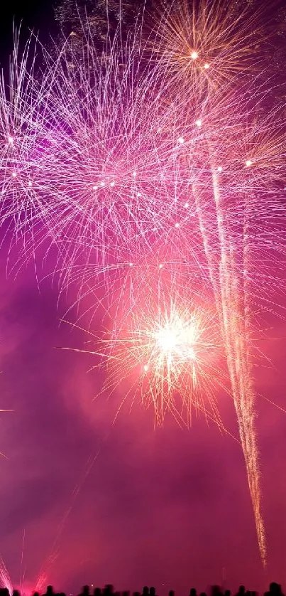 Purple and pink fireworks burst in night sky.