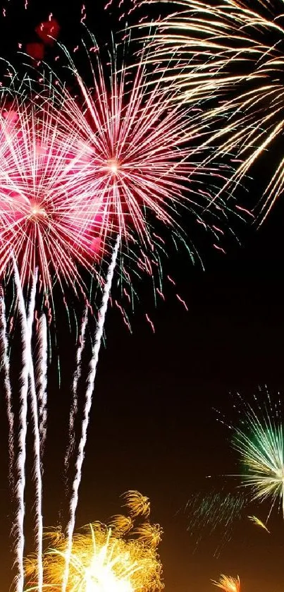 Vibrant fireworks illuminating a night sky.