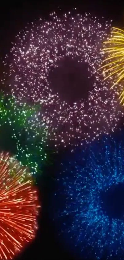 Colorful fireworks bursting in a dark sky.