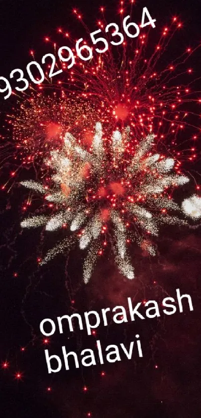 Dynamic fireworks display with vibrant red colors.