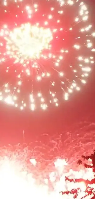 Vibrant fireworks illuminating the night sky with red and white bursts.