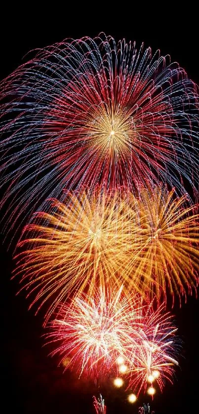 Bright fireworks illuminate night sky with vibrant colors.