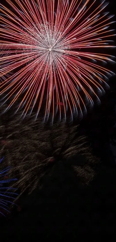 Vibrant red and blue fireworks against a night sky.