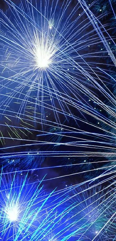Vibrant blue and white fireworks explode in a captivating night sky display.
