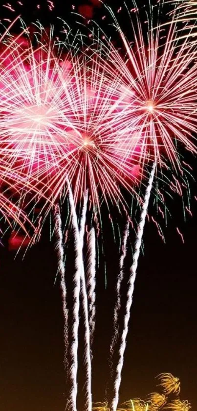 Vibrant fireworks display in night sky with colorful explosions.