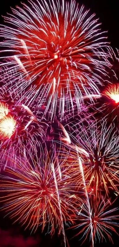 Vibrant red fireworks illuminating the night sky.