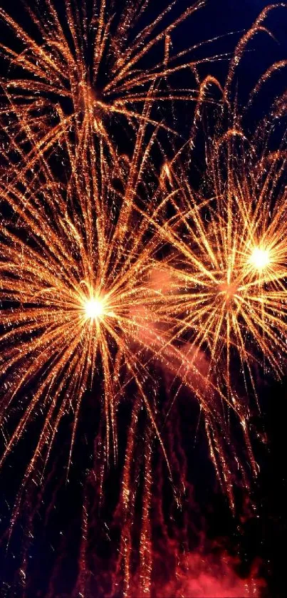Vibrant fireworks explode against a dark blue sky.
