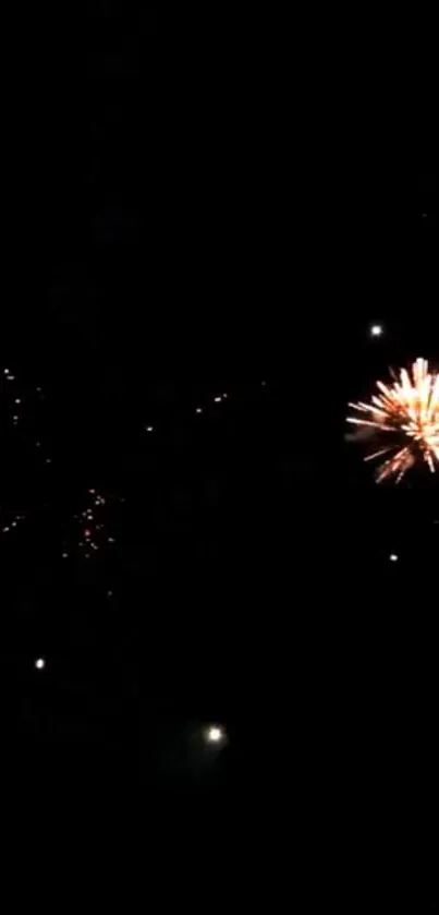 Fireworks exploding against a dark night sky with vibrant colors.