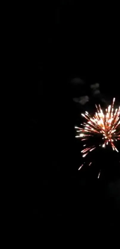 Fireworks illuminating the night sky with vibrant colors and sparks.