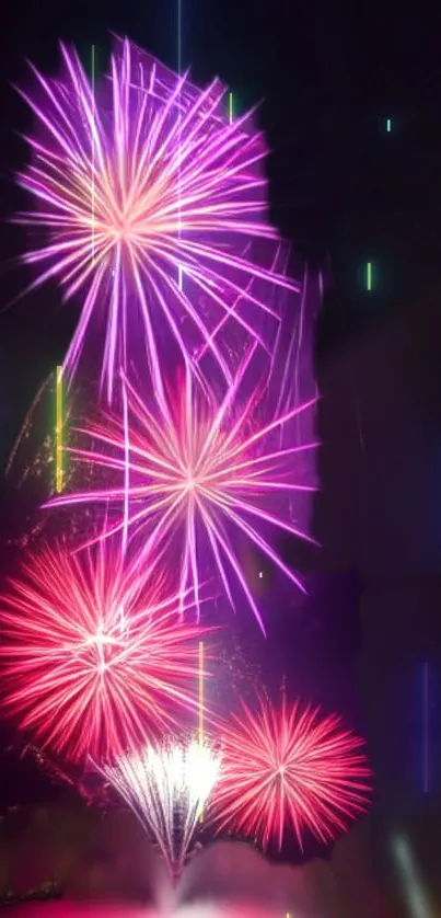 Vibrant fireworks illuminating a dark night sky in pink and purple hues.