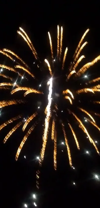 Vibrant fireworks exploding against a dark night sky.