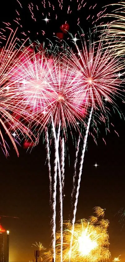 Vibrant Fireworks Night Display - free download